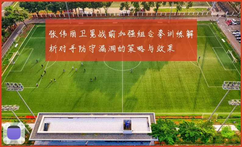 张伟丽卫冕战前加强组合拳训练解析对手防守漏洞的策略与效果